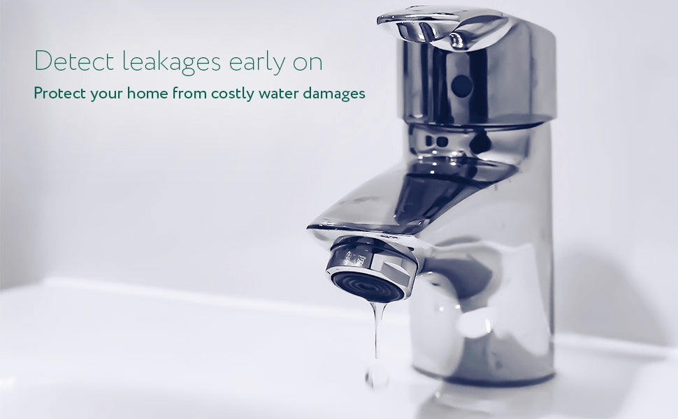 frient Water Leak Detector sensore perdite acqua Zigbee