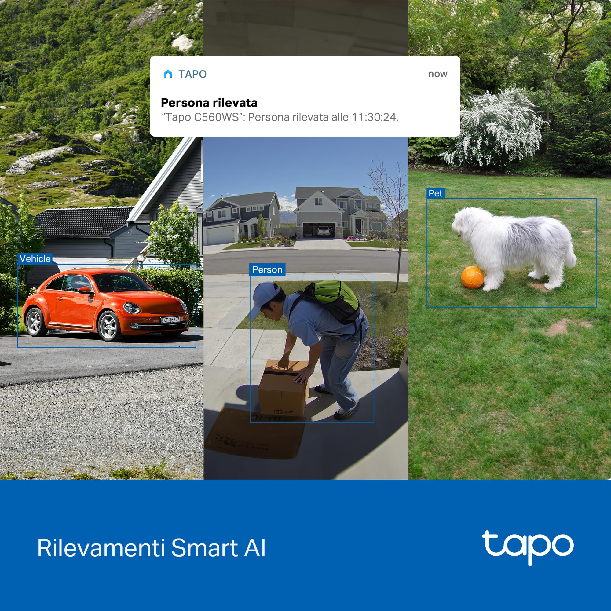 Tapo C560WS Telecamera Esterno Pan-Tilt 4K Wi-Fi 6
