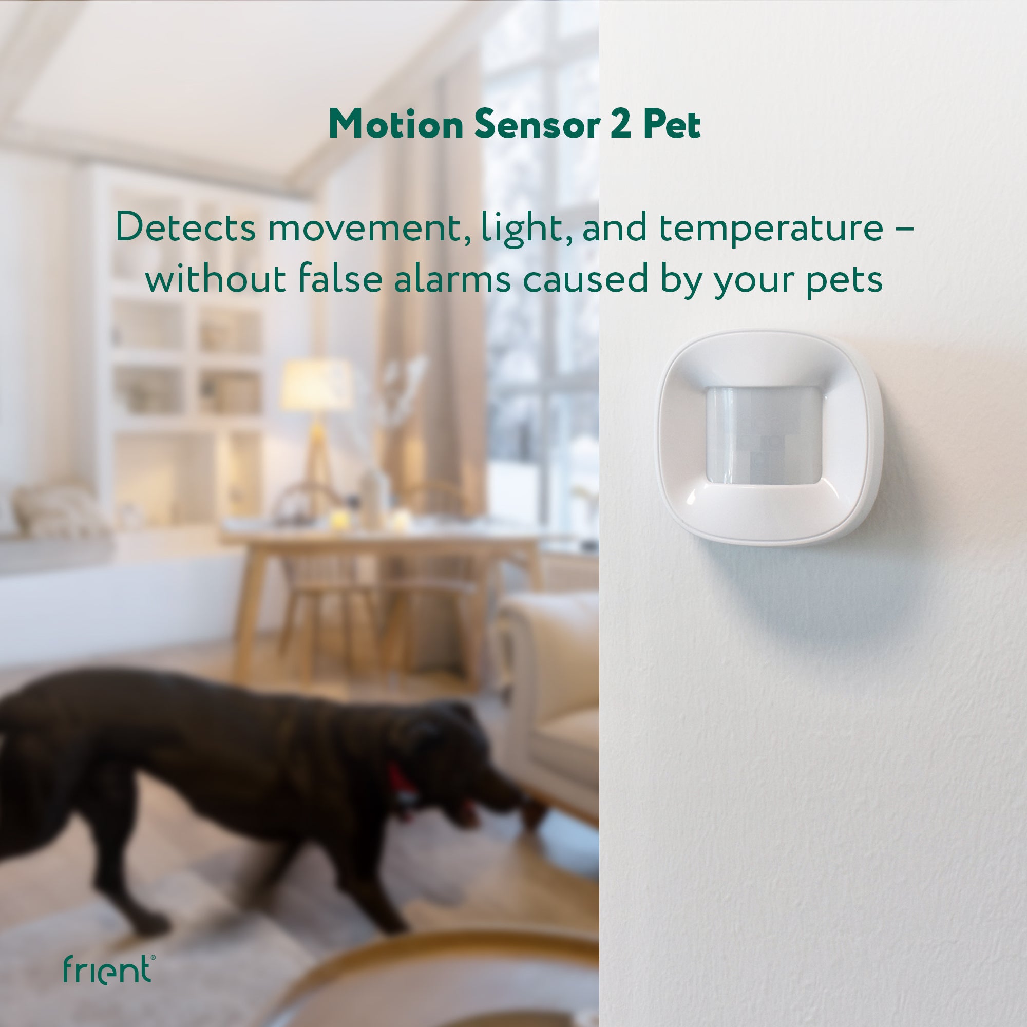 frient Motion Sensor 2 Pet Sensore Movimento Zigbee 9m