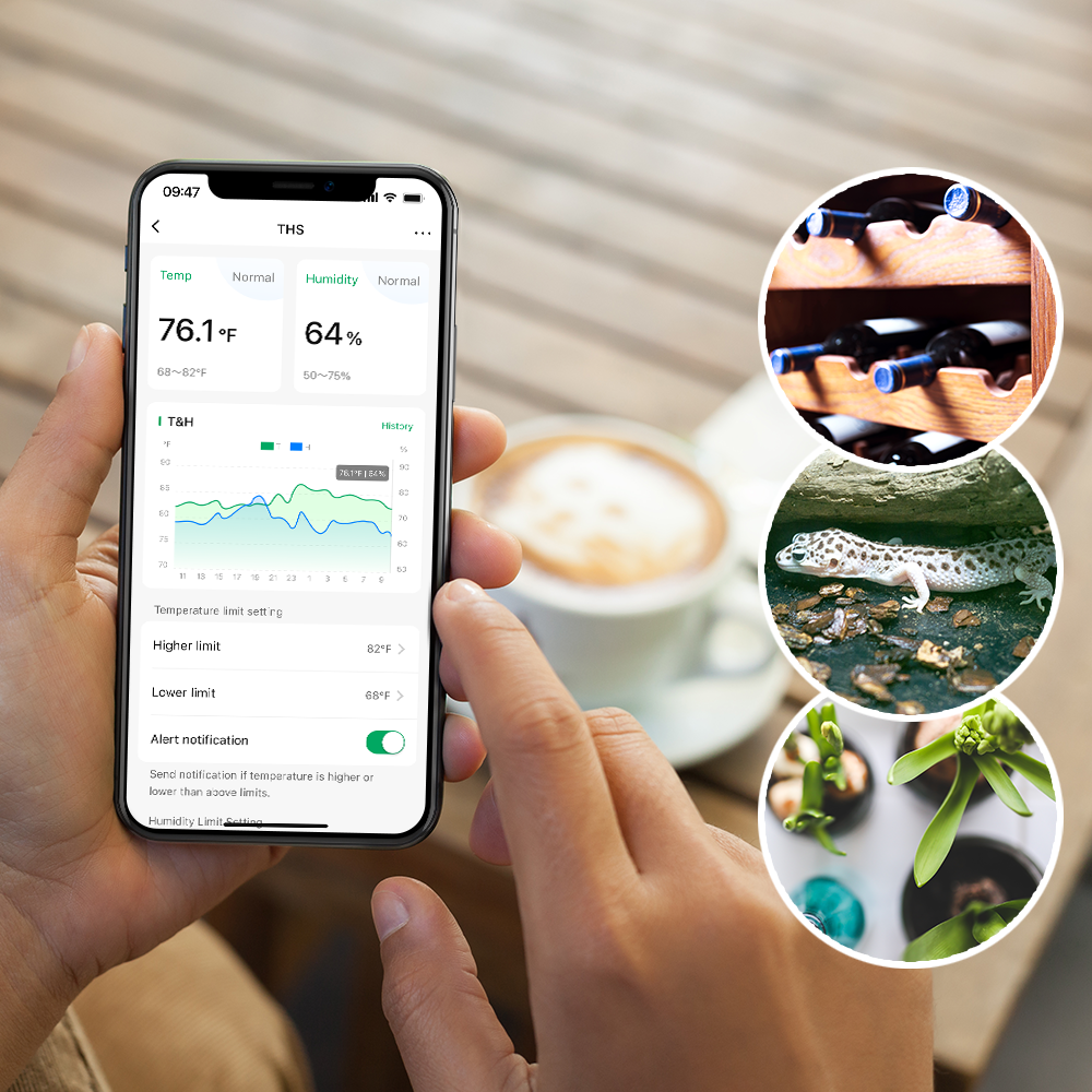 LinknLink eTHS2 sensore temperatura umidità Bluetooth