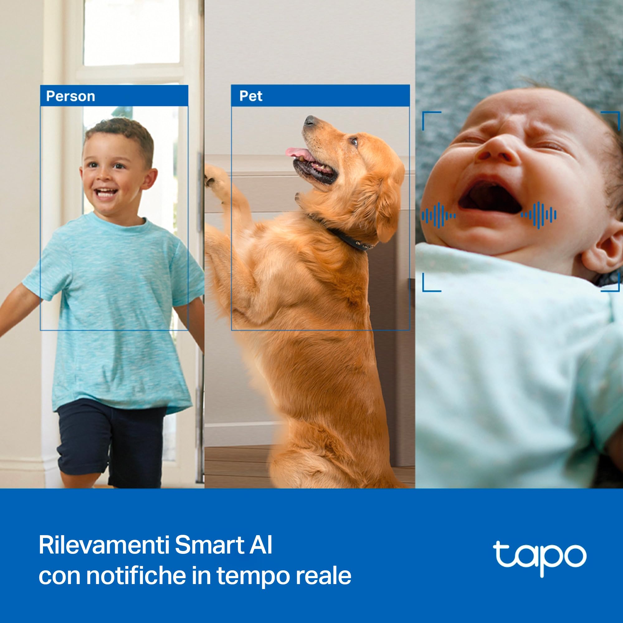 Tapo C250 telecamera WiFi 4K 360° interno notte 12 m