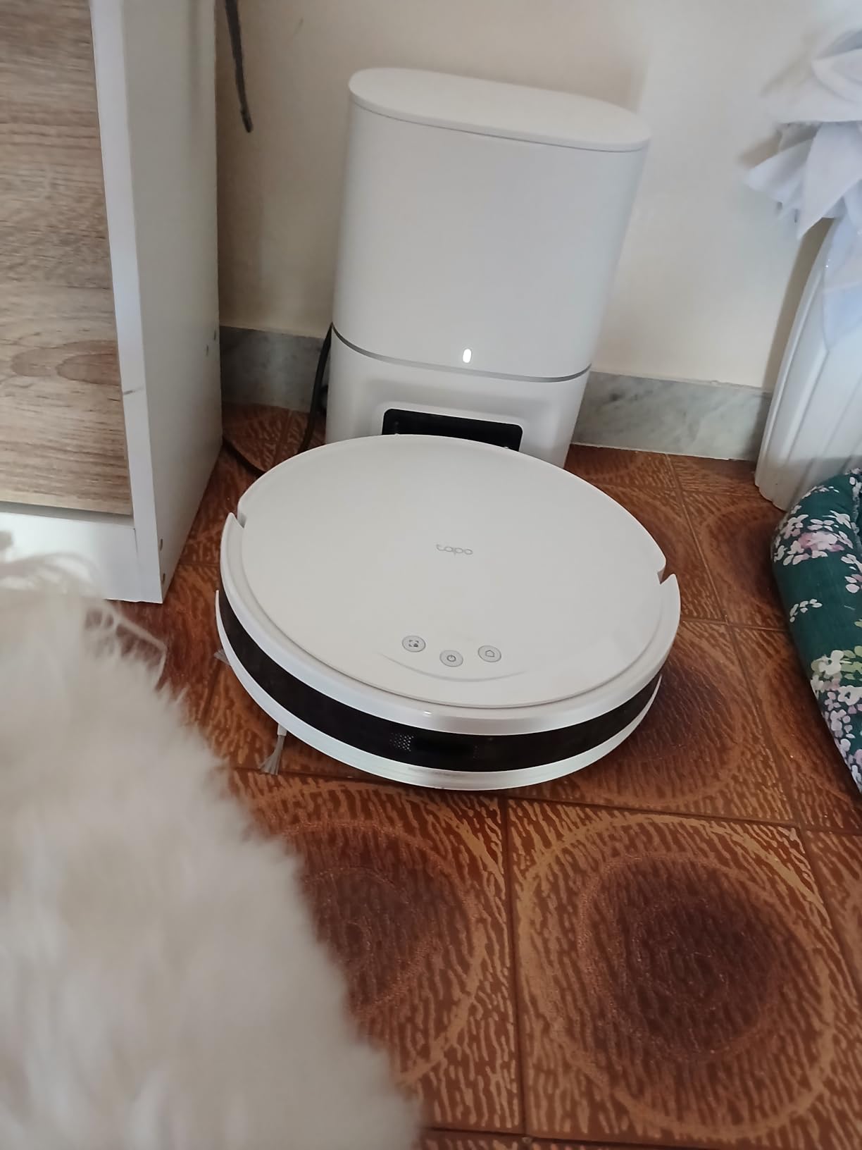 TP-Link Tapo RV20 Max Plus bianco robot aspirapolvere 5300Pa