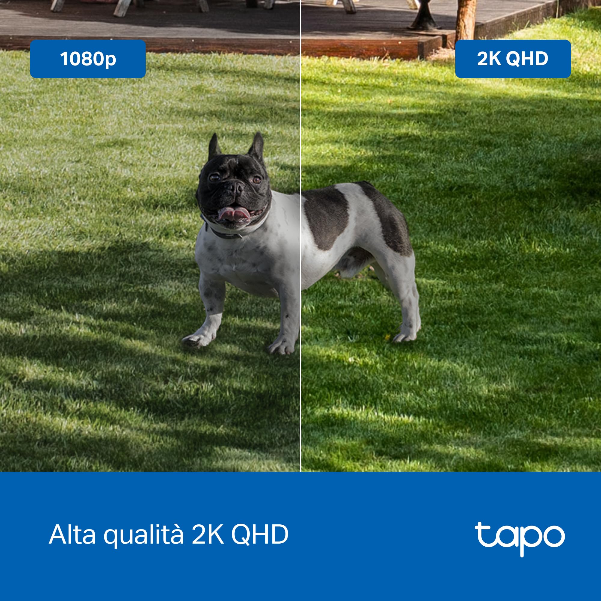 Tapo C425 Telecamera Batteria Bianco Neve 2K 150°