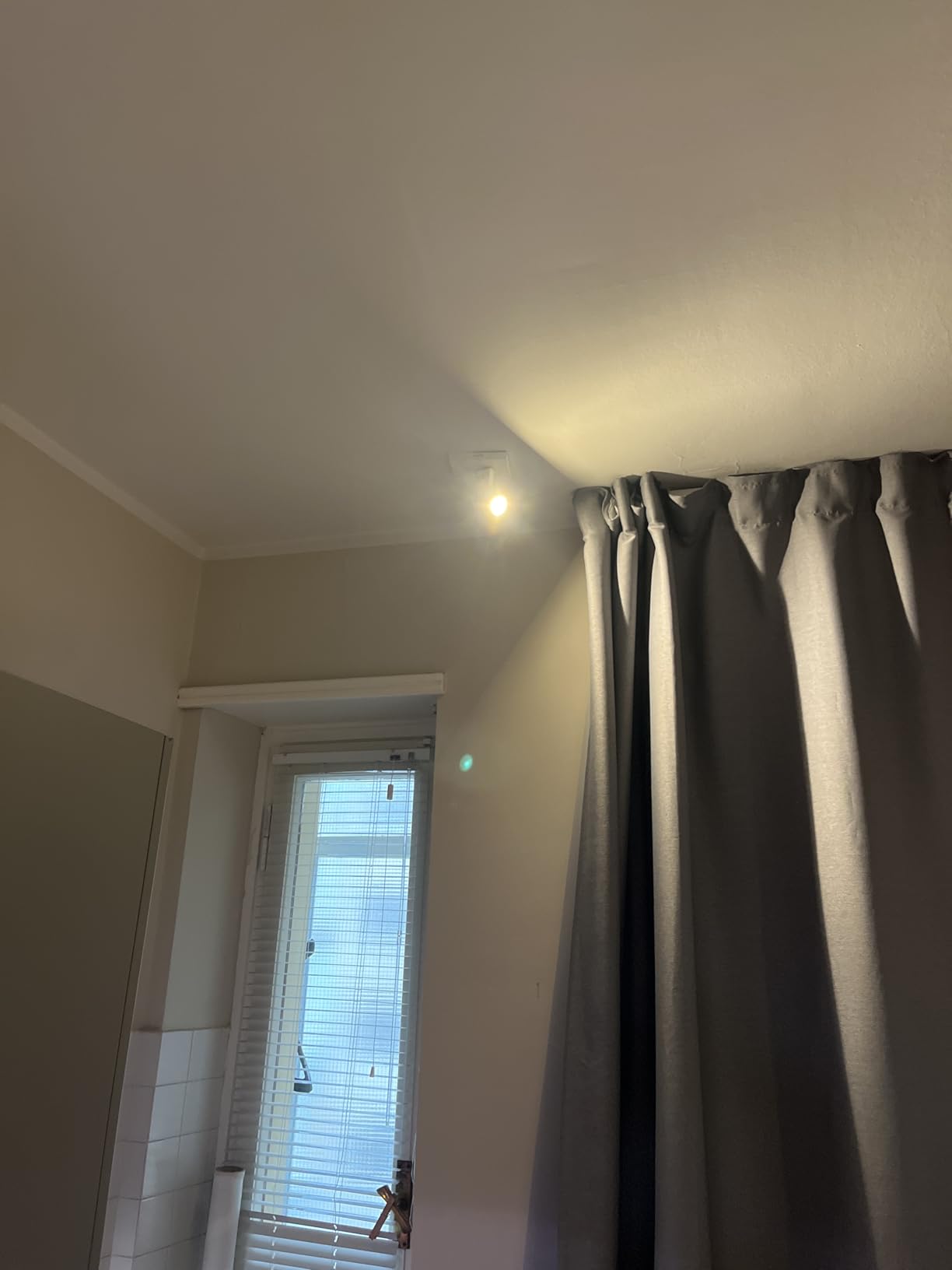 Tapo L630 Lampadina Smart GU10 2pz RGB 350lm