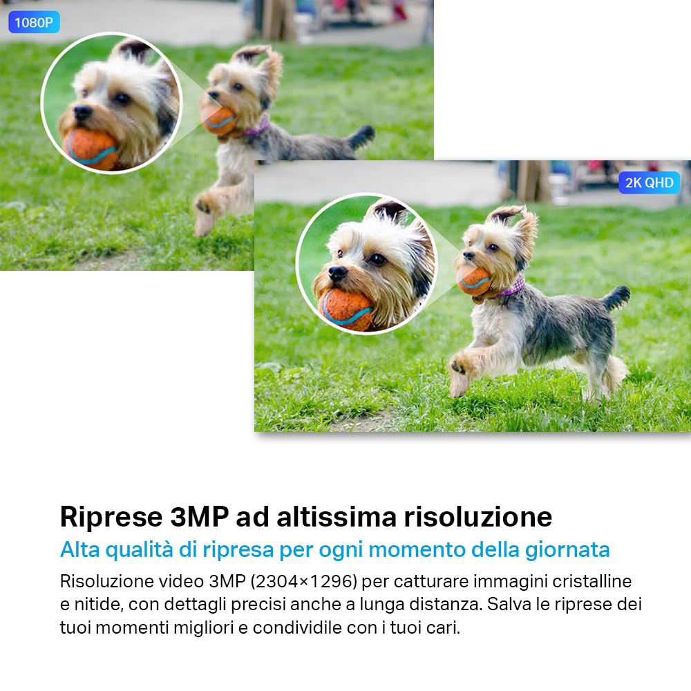 Tapo C310 telecamera esterno Wi-Fi 3MP IP66