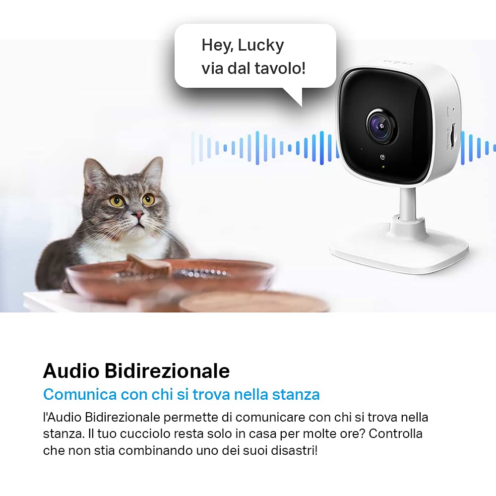 Tapo C100 telecamera interno Bianco Classico FHD