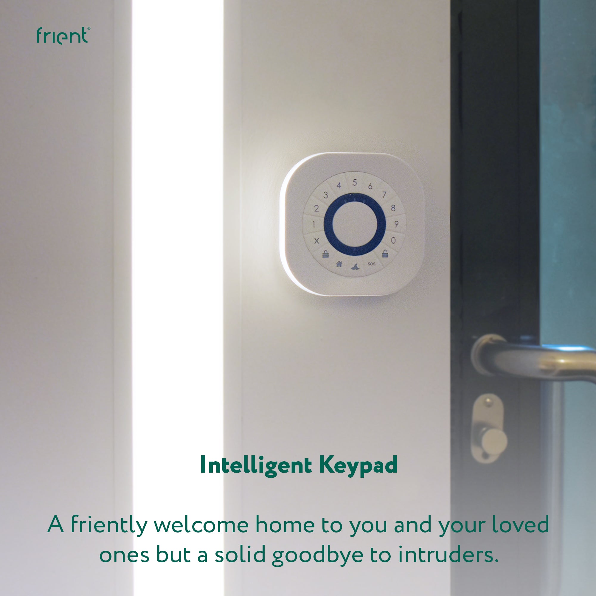 frient Intelligent Keypad tastierino Zigbee PIN e RFID