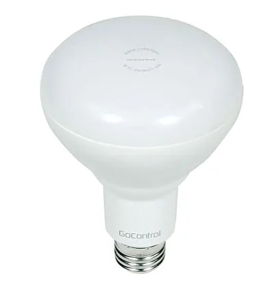 GoControl LBR30Z-1 Lampadina LED Dimmerabile Z-Wave